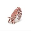 Nautilus view 1