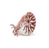 Nautilus view 2