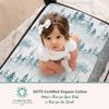 100% Organic Cotton Fitted Travel Crib Sheets, Perfectly Compatible with Guava Lotus, BabyBjorn, Dream On Me and All mattresses 22-26" Wide by 40-44" Long. Strap Holes in Corners. 2 Pk, Deer & Forest view 2