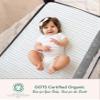 100% Organic Cotton Fitted Travel Crib Sheets, Perfectly Compatible with Guava Lotus, BabyBjorn and All mattresses 22-26" Wide by 40-44" Long. Strap Holes in Corners. 2 Pk, Animals Stripes view 4