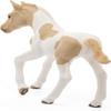 Schleich Horse Club - Paint Horse Foal - Realisic Animals for Kids Ages 5+ view 4