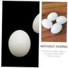 FELTECHELECTR 30pcs Solid Pigeon Eggs for Home Decor Realistic Simulated Pigeon Eggs for Crafts DIY Easter Decorations and Bird Breeding for Dove and Interior Design view 4