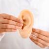 ibasenice Halloween Left Silicone Ear Model Prank Prop for Toys view 4