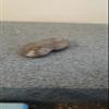 THE FLATTOP - AGED BRONZE HANDMADE EDC SPINNING TOP - MADE IN THE USA - Gifts for Men view 4