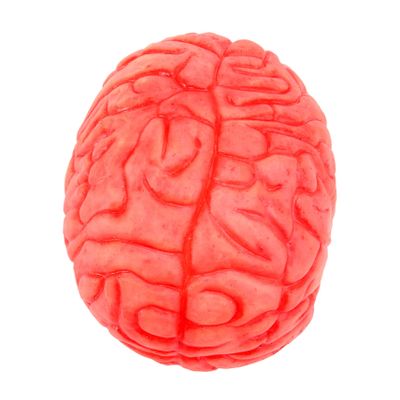 ARTIBETTER halloween body parts zombie brain halloween Brain decor props party props Fake decorate prosthetic hand Prosthetics organ