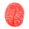 ARTIBETTER halloween body parts zombie brain halloween Brain decor props party props Fake decorate prosthetic hand Prosthetics organ view 1
