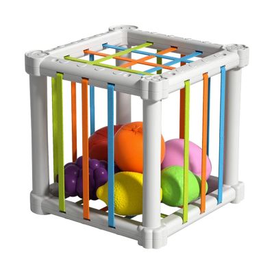 Amagogo Baby Shape Sorter Toy, Sensory Bin with Elastic Rope Fine Motor Skills Kids Educational Toys for Children Age 1 2 Kids Girl Birthday Gifts