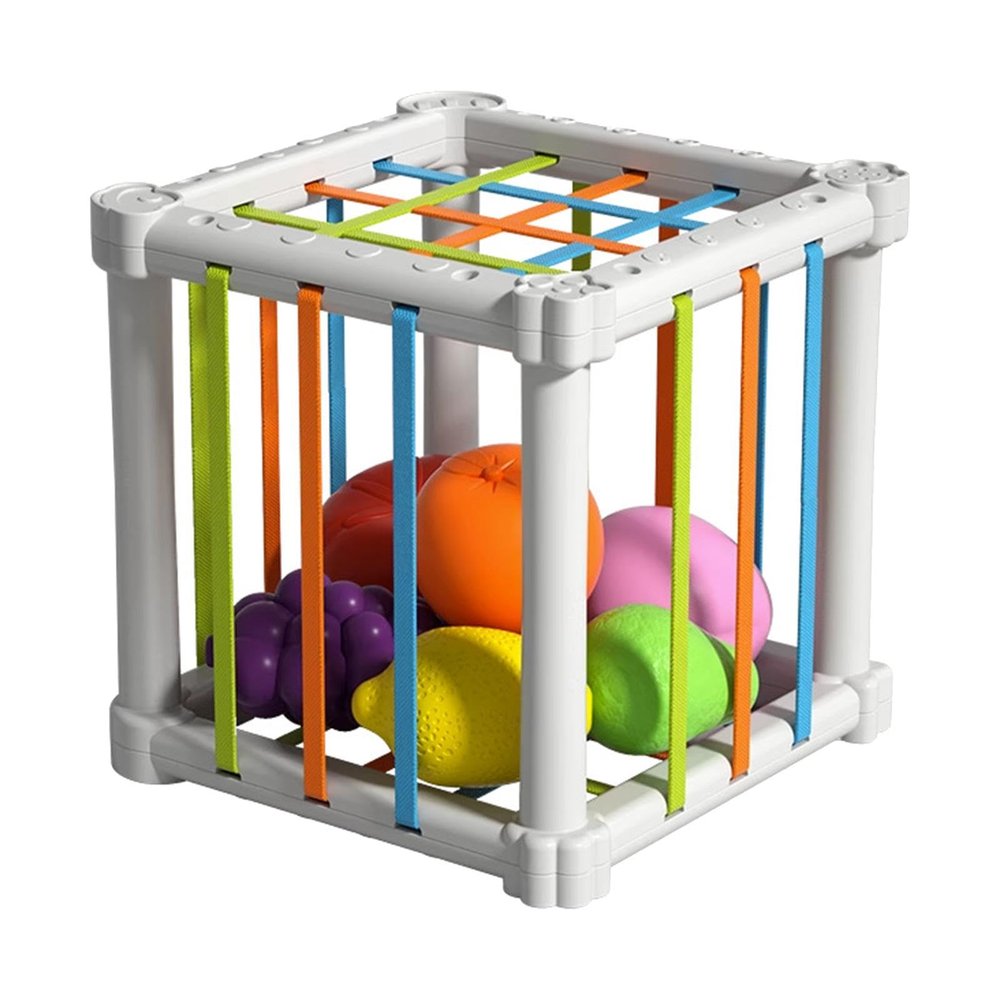 Amagogo Baby Shape Sorter Toy, Sensory Bin with Elastic Rope Fine Motor Skills Kids Educational Toys for Children Age 1 2 Kids Girl Birthday Gifts