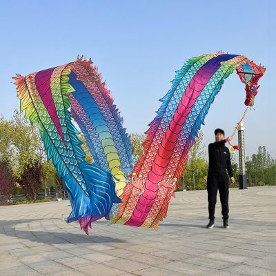 CMYUN Dragon Poi Colorful Dragon Poi with Head, 3D Silk Dragon Ribbon Dancer Washable, Portable Art Streamer for Fitness Juggling Flinging, for Adults Seniors (Size : Length - 10m/33ft)