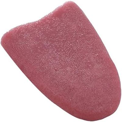 2pcs Realistic Fake Tongue Gross Jokes Prank Magic Tricks Fashion Processing Halloween Magicians Props Tricks Tongue Toys