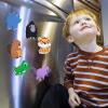SUPINEEDO Fridge Magnet for Toddlers 1-3Kids Magnets for Fridge (16 Pcs Animals Magnet Box) view 4