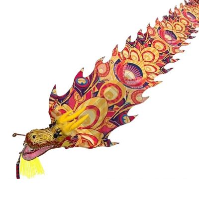 CMYUN Dragon Poi Rainbow Dragon Poi/Silk Ribbon Dancer with Peacock Pattern, Outdoor Park Garden Practice Dance Flag, Dragon Streamer Kite with Dragon Head (Color : Yellow, Size : Length - 10m/33ft)