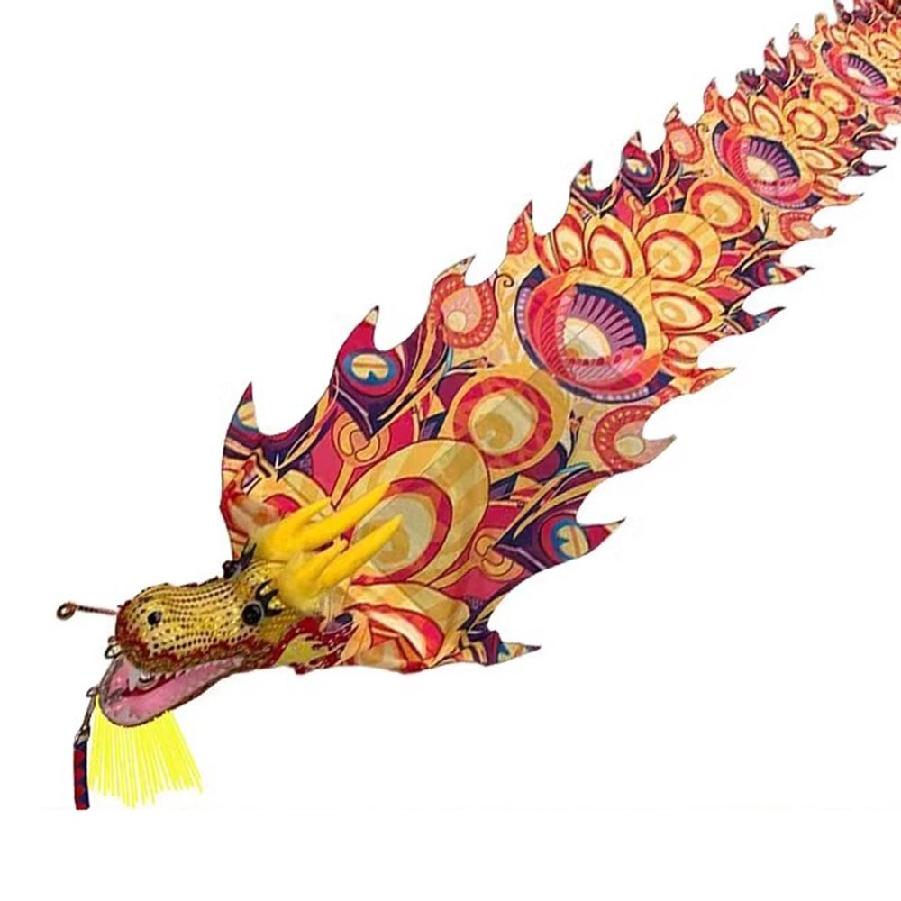 CMYUN Dragon Poi Rainbow Dragon Poi/Silk Ribbon Dancer with Peacock Pattern, Outdoor Park Garden Practice Dance Flag, Dragon Streamer Kite with Dragon Head (Color : Yellow, Size : Length - 10m/33ft)