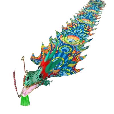 CMYUN Dragon Poi Rainbow Dragon Poi/Silk Ribbon Dancer with Peacock Pattern, Outdoor Park Garden Practice Dance Flag, Dragon Streamer Kite with Dragon Head (Color : Green, Size : Length - 10m/33ft)