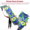 CMYUN Dragon Poi Rainbow Dragon Poi/Silk Ribbon Dancer with Peacock Pattern, Outdoor Park Garden Practice Dance Flag, Dragon Streamer Kite with Dragon Head (Color : Green, Size : Length - 10m/33ft) view 3