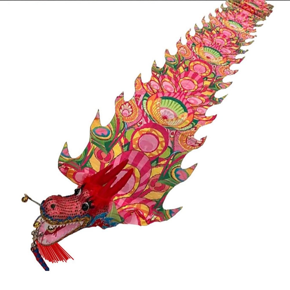 CMYUN Dragon Poi Rainbow Dragon Poi/Silk Ribbon Dancer with Peacock Pattern, Outdoor Park Garden Practice Dance Flag, Dragon Streamer Kite with Dragon Head (Color : Pink, Size : Length - 12m/39ft)