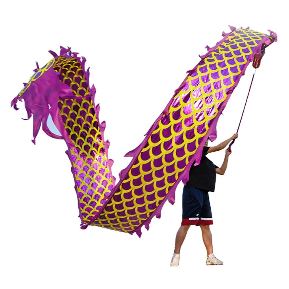 CMYUN Dragon Poi Purple Dragon Poi Ribbon with Head, Extra Long Dragon Dance Ribbon Streamer, Double-Sided Dragon Kite Dance Flag, for Adult Gym Sport Exercise (Size : Length - 8m/26ft)