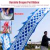 CMYUN Dragon Poi 3D Blue Dragon Poi Kite Outdoor - Chinese Style Dragon Poi Ribbon with Head, Dragon Dance Exercise Streamer for Park Yard Party, 6/8/10m Long (Size : Length - 6m/19.5ft) view 3