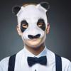 AYILUOBE Animal Half Face Mask Halloween Costume Mask Cute Panda Masquerade Mask for Halloween Easter Carnival Party Cosplay Props view 2