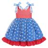 4th of July Baby Girls Dress Toddler Independence Day Dress up Costume Sleeveless Blue and Red Stars Tulle Tutu Dress Smocked Princess Party Dress First Birthday Outfit Red Blue 2-3 T view 1
