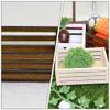 ibasenice 3pcs Mini Wooden Storage Baskets Dollhouse Accessories for Organizing and Displaying Miniature Scenes Natural and Colors view 4