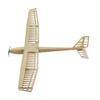 Balsa Wood Glider Plane F25 AION-25 Sailplane Kit Unassembled 2500MM (98") Wingspan Large RC Glider Sailplane F3P Model Kit to Build for Adults (KIT+ Motor+ ESC+ Servos+ Folded prop+ Covering Film) view 3