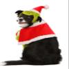 Fun Costumes Dr Seuss The Grinch Santa Dog Costume, Halloween Outfit for Pets - Medium - Green view 4