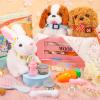Tagitary Plush Toys Electronic Toy with Sounds,Wiggling Ears,Twitching Mouth and Nose, Interactive Rabbit Toy for Kids with Leash,Easter Christmas Birthday Gift for Toddlers Kids view 3