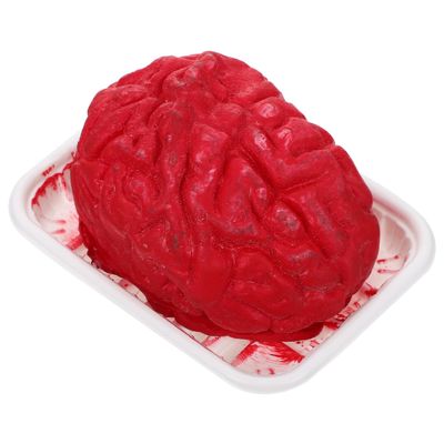 Healvian Halloween Body Organ Prop Simulated Brain Heart Model Plastic Fake Body Parts for Party Decor Haunted House Pranks