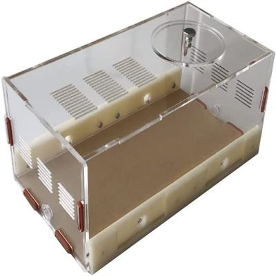 Ant Castle Acrylic Ant Castle Ant Habitat Science Popularization Learning Set Ant Farm Children Puzzle Study Ant Behavior Ant Nest Farm Convenient to Observe