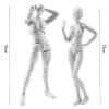 AAGWW Sketch Doll, Articulated Movable, Includes Stand, Posable, Model Doll, Muscle Body, Doll Model, Painting Tool, Doll Display (Product Contents: 1 x Gray Male Doll + 1 Gray Female Doll) view 2