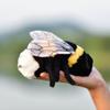 TAMMYFLYFLY Soft Insect Plush Toy, Stuffed Bee Animal Doll,Cute Honeybee Plush Doll,17cm (Bee) view 4