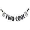 Two Cool Birthday Banner for Boys - Two Cool Second Birthday Party Supplies, 2nd Party Decor,2nd Boys Cake Smash Photo Prop view 1