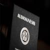 Audiokinesis by Hoang Doan Minh & Artisan Coin (Dollar) - Trick view 3