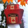 All Weather Canadan Flag Style Cornhole Bags (8 bags) view 3