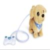 CCL Loomy, Golden Retriever view 1