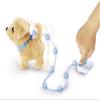 CCL Loomy, Golden Retriever view 3