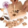 Dan&Darci Real Fossil Dig Kit for Kids - Science Kits for Boys & Girls Age 8-12 - Birthday Gift Ideas for 8, 9, 10, 11, 12 Year Old Boy or Girl - Fossils Digging STEM Toys for Ages 8-13 view 2