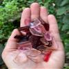 20+ Pieces of Assorted Red/purple/Pink Sea Glass - Great for Art Projects, Jewelry, Mosaics, and More! view 4