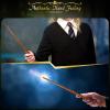 ChampWe Wooden Magic Wand Wizard Witch Wood Wands Hand Carved for Collection Cosplay Christmas Party with Spellbook & Gift Box (Foliage) view 4