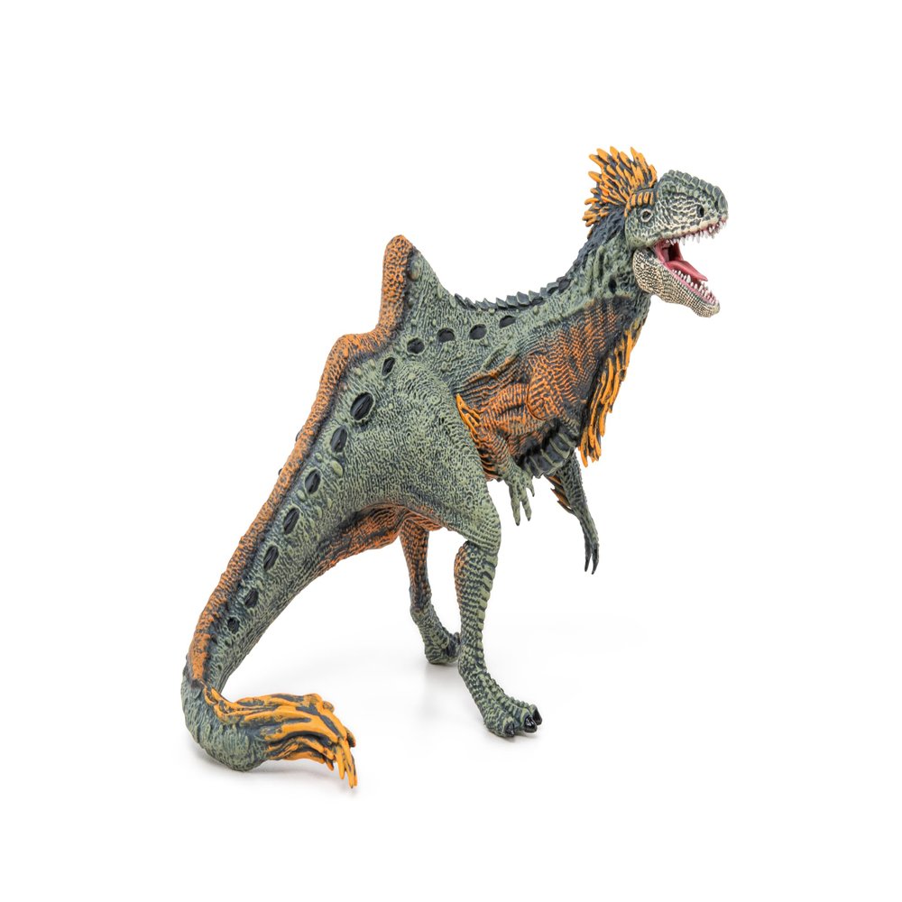 PAPO - Concavenator - Realistic Figurine - for Ages 3+ - Dinosaurs Collection - Hand Painted - Highly Detailed - Durable and Educational - Gift Idea - Collectable - Dinosaur Figurine