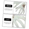 Didiseaon 1pair Realistic Skeleton Hand Halloween Decor Ghost Hand Props for Haunted House Spooky Atmosphere for Parties and Costumes view 4