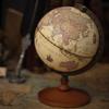 BIBABLYKE Geographic Globe Antique World Globe with Wood Stand Full Earth Geography Map for Desktop Bookshelves Office Home Decor greenyellow plastic view 2