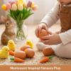 LovesTown 8PCS Easter Wooden Fake Eggs, Chicken Faux Eggs for Painting Food Pretend Play view 4