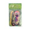 SPITBOARDS 34mm Fingerboard Deck - Real Wood (5-Layers) Classic Popsicle Street Shape - Size: 34 x 96 mm - Single Graphic Deck (Real Wear) - Optimized Concave - t-rex view 4