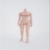 1/6 Scale Female Body,12inch Female Half-Seamless Suntan Skin Joint Flexible Action Figure Body Collection view 1