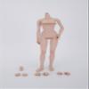 1/6 Scale Female Body,12inch Female Half-Seamless Suntan Skin Joint Flexible Action Figure Body Collection view 2