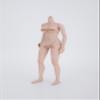 1/6 Scale Female Body,12inch Female Half-Seamless Suntan Skin Joint Flexible Action Figure Body Collection view 3