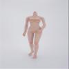 1/6 Scale Female Body,12inch Female Half-Seamless Suntan Skin Joint Flexible Action Figure Body Collection view 4