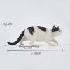 WLNTDOLA 1:6 Scale Chinese Garden Cat 3.0 Figure Realistic Felidae Resin Cat Model Collector Animal Creative Decor Gift for Adult (JXK179A1) view 2
